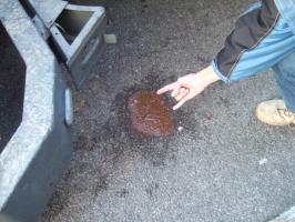 Lejna na parkovištích